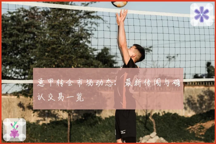 意甲转会市场动态：最新传闻与确认交易一览